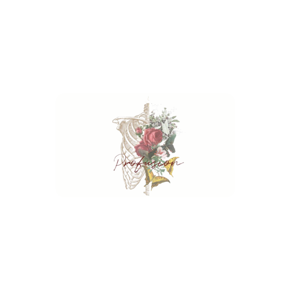 Profusion Skincare Gift Card